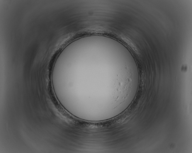 X0000094070494200710190959