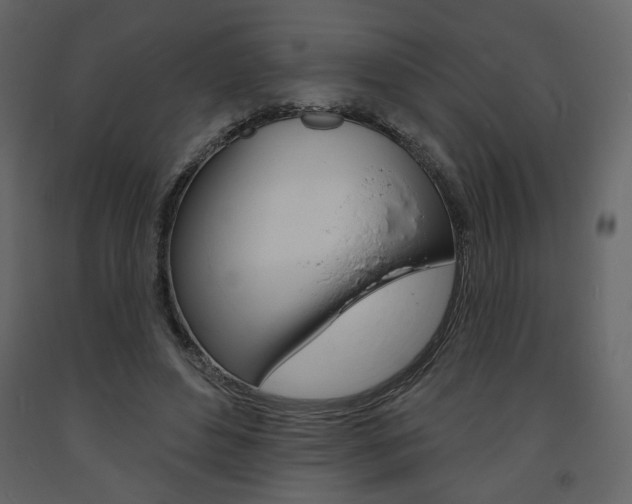 X0000094070496200710190959
