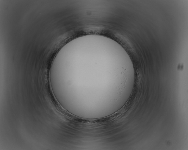 X0000094070498200710190959