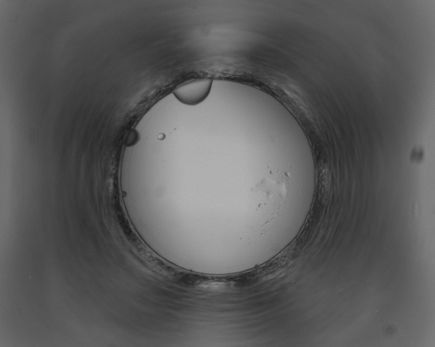 X0000094070499200710190959
