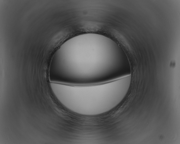 X0000094070501200710190959