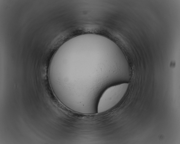 X0000094070502200710190959