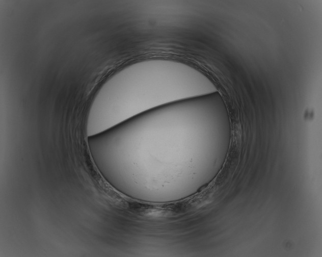X0000094070504200710190959