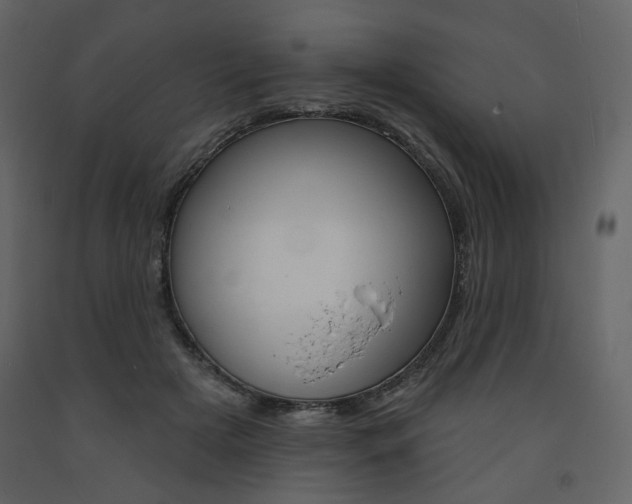 X0000094070505200710190959