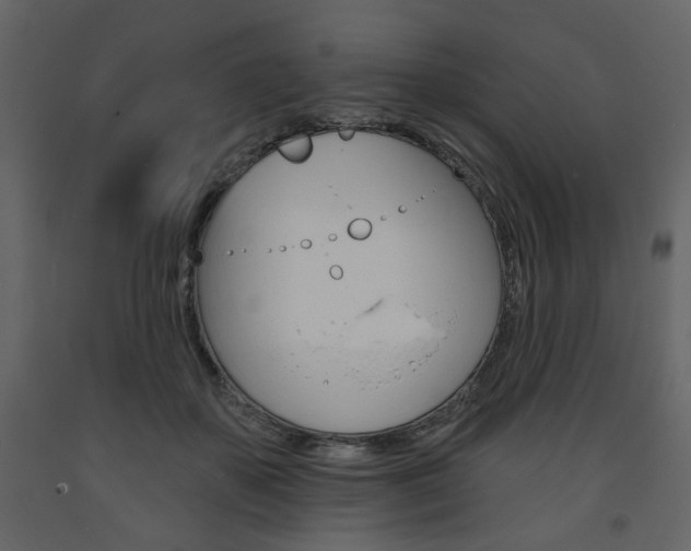 X0000094070507200710190959