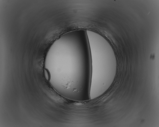 X0000094070509200710190959