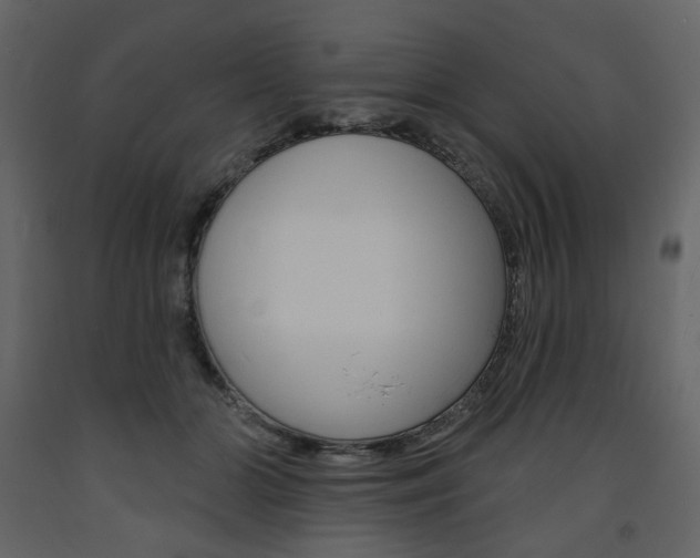 X0000094070510200710190959