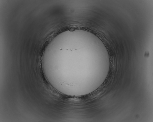 X0000094070511200710190959