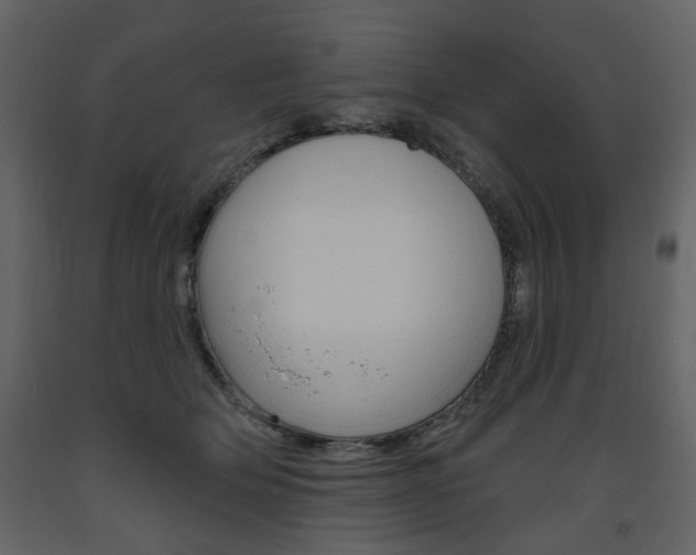 X0000094070514200710190959