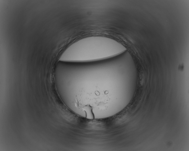 X0000094070515200710190959