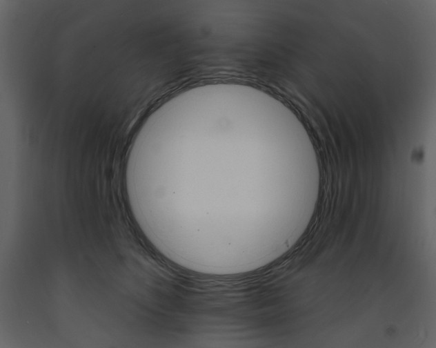 X0000094070516200710190959