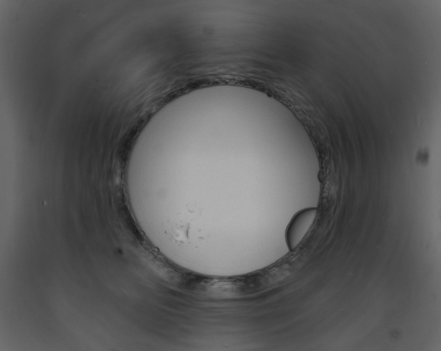 X0000094070518200710190959
