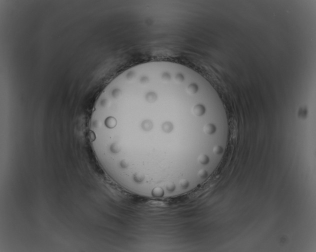 X0000094070519200710190959