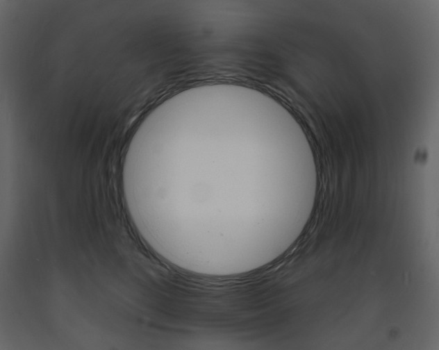 X0000094070520200710190959