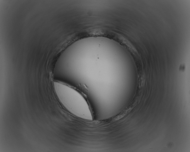 X0000094070521200710190958
