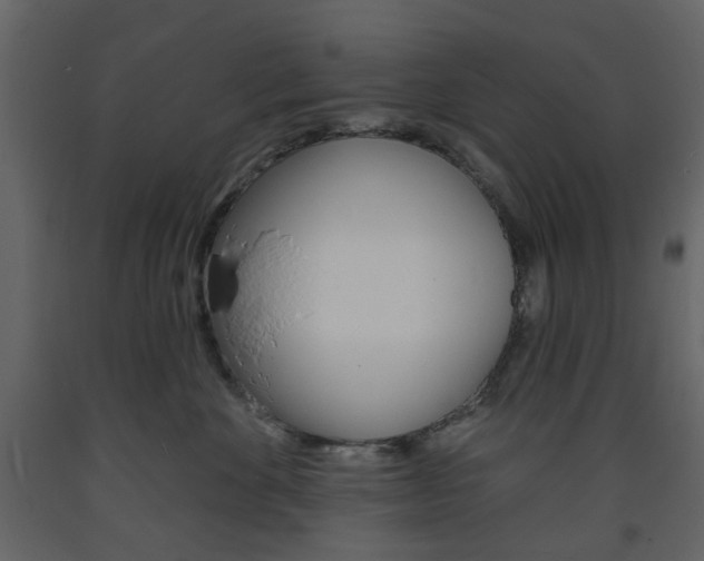 X0000094070524200710190958