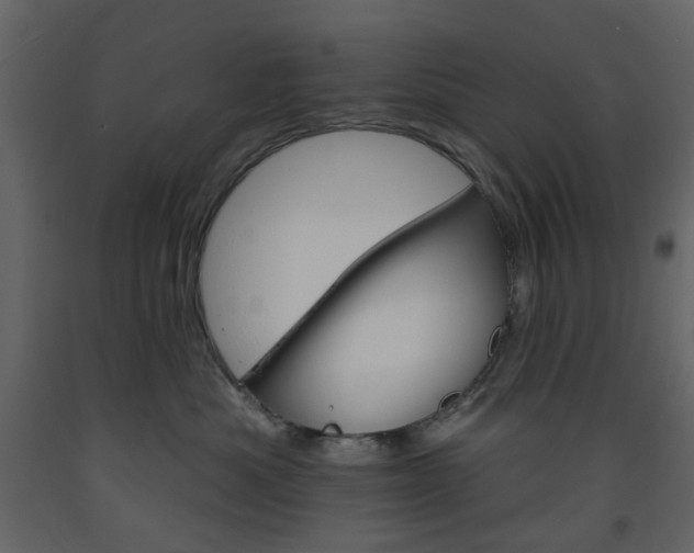 X0000094070525200710190958