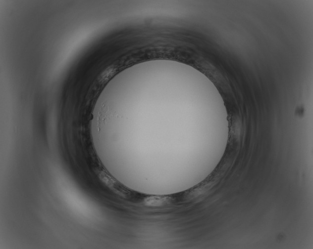 X0000094070526200710190958