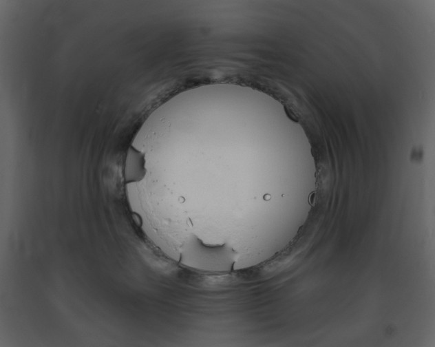 X0000094070527200710190958