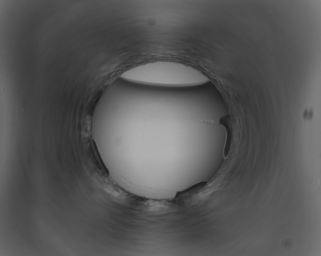 X0000094070528200710190958