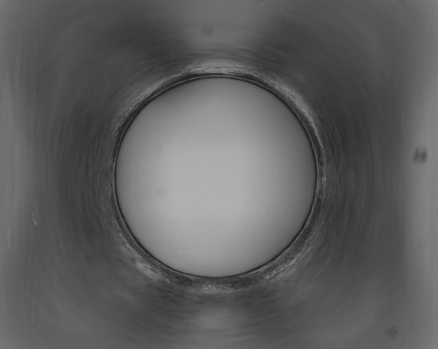 X0000094070529200710190958
