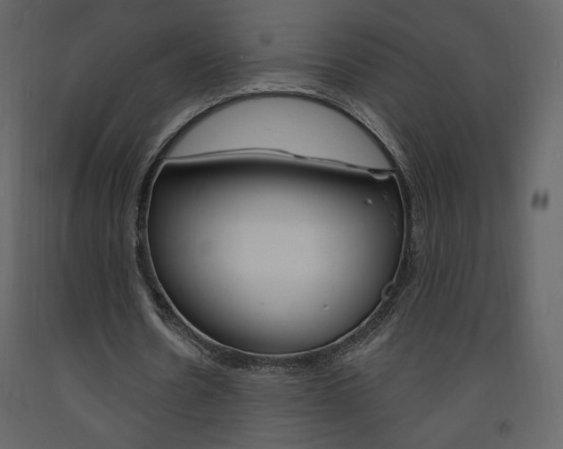 X0000094070530200710190958