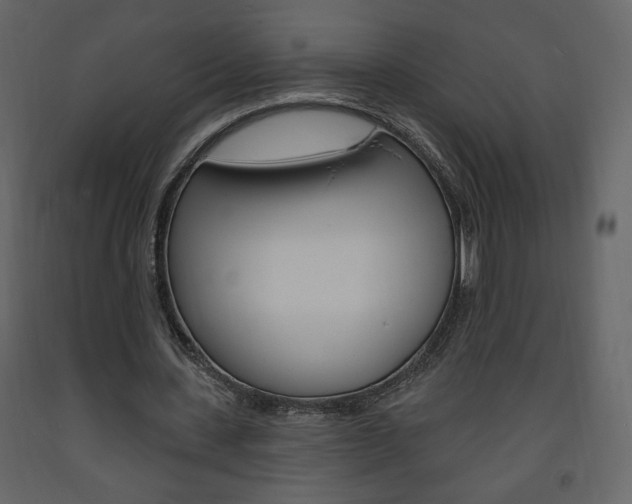 X0000094070531200710190958