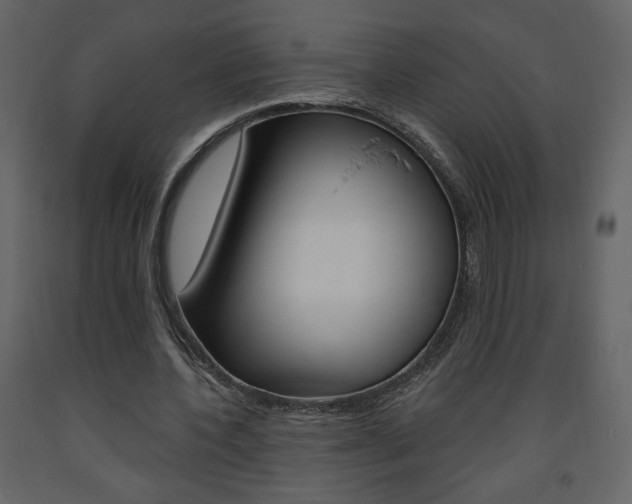 X0000094070532200710190958