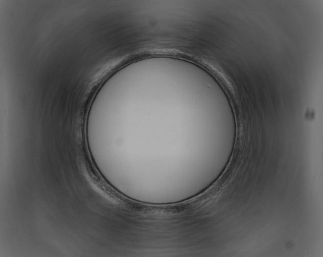 X0000094070533200710190958