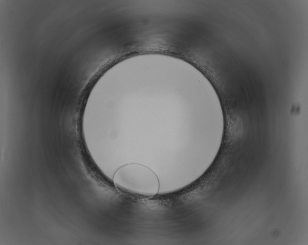 X0000094070534200710190958