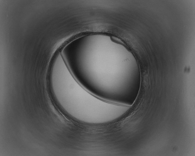 X0000094070536200710190958