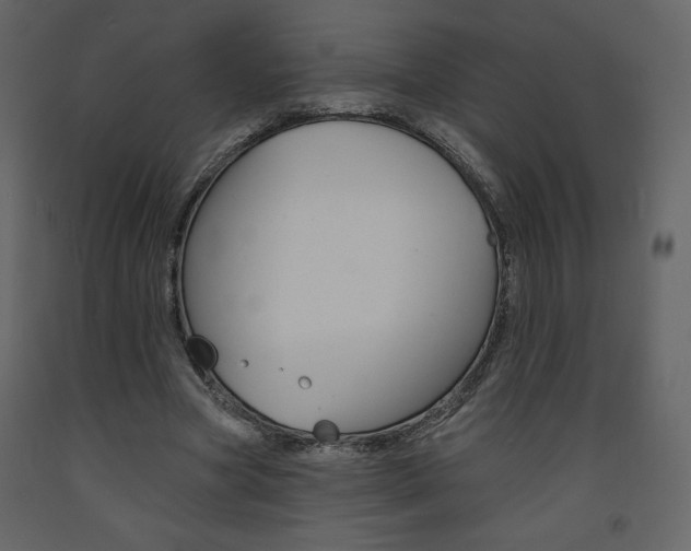 X0000094070537200710190958