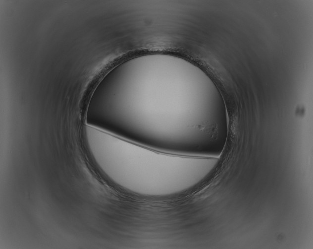 X0000094070540200710190958