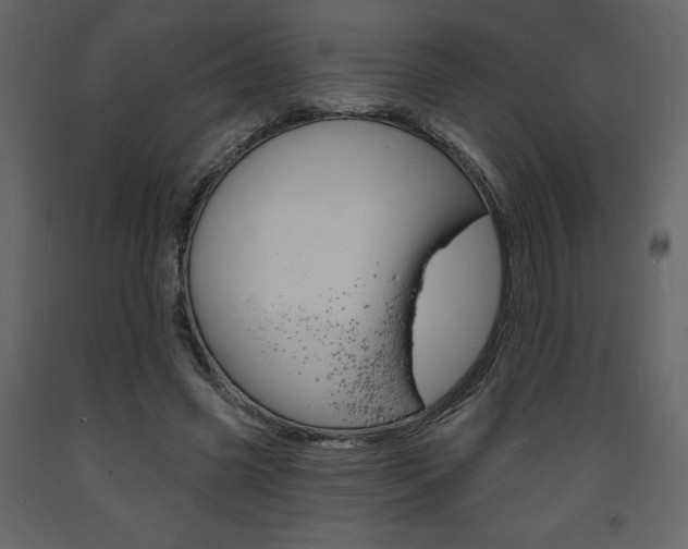 X0000094070541200710190958