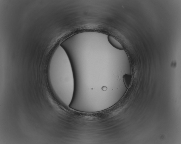 X0000094070542200710190958