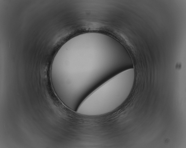 X0000094070543200710190958