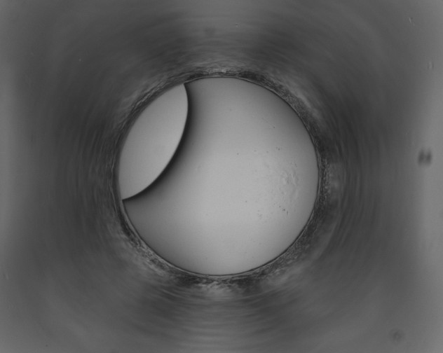 X0000094070545200710190958