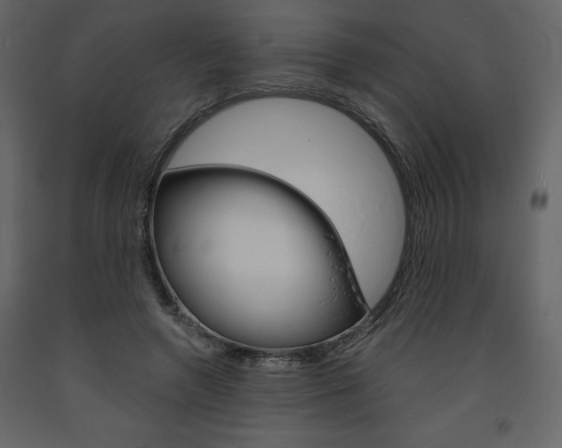 X0000094070546200710190958