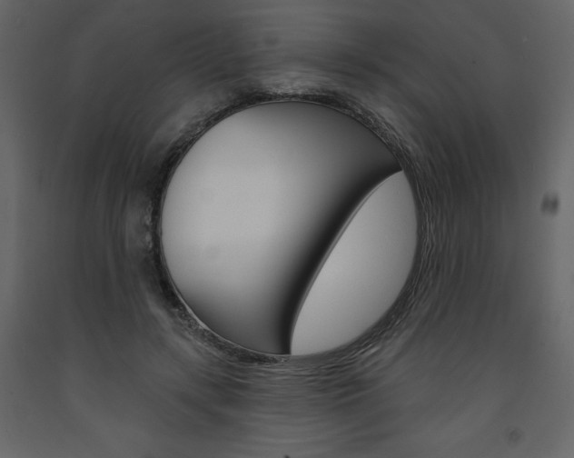 X0000094070547200710190958
