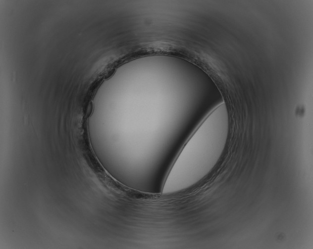 X0000094070548200710190958