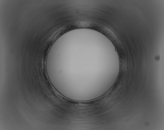 X0000094070549200710190958
