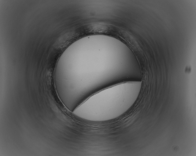 X0000094070551200710190958