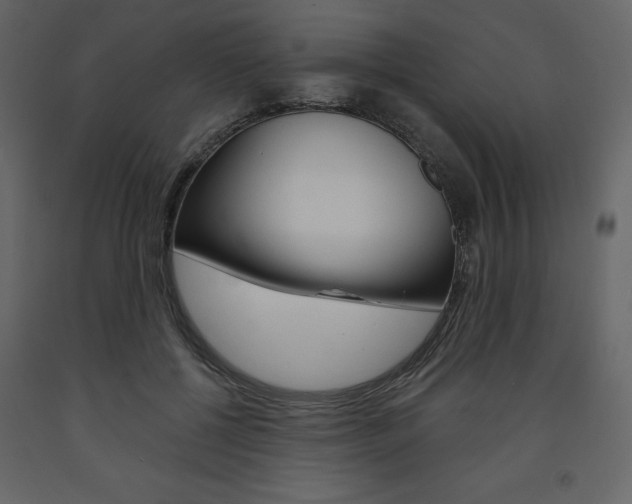X0000094070552200710190958