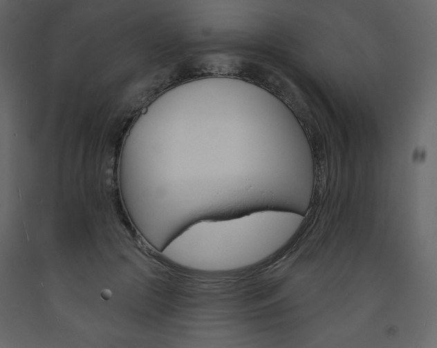 X0000094070553200710190958