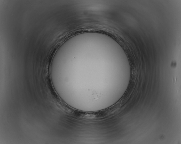 X0000094070554200710190958