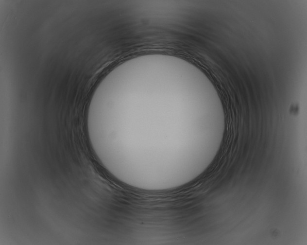 X0000094070556200710190958