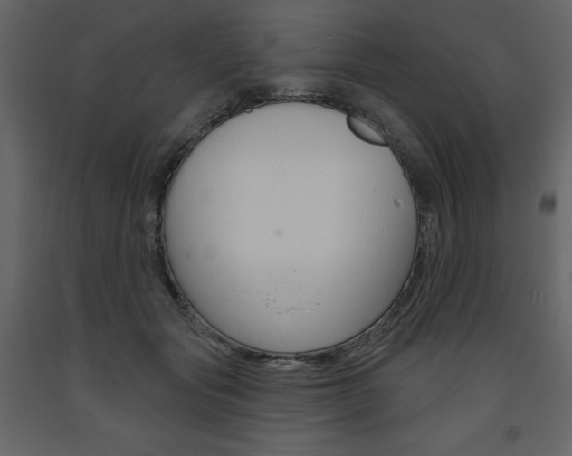 X0000094070557200710190958