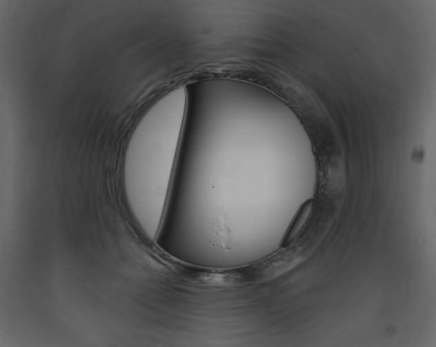 X0000094070558200710190958