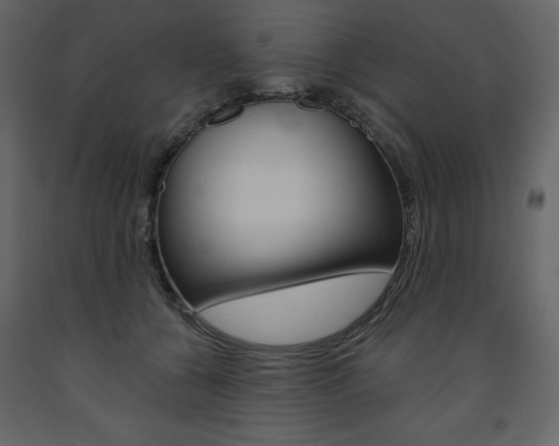 X0000094070560200710190958