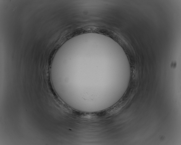 X0000094070561200710190958